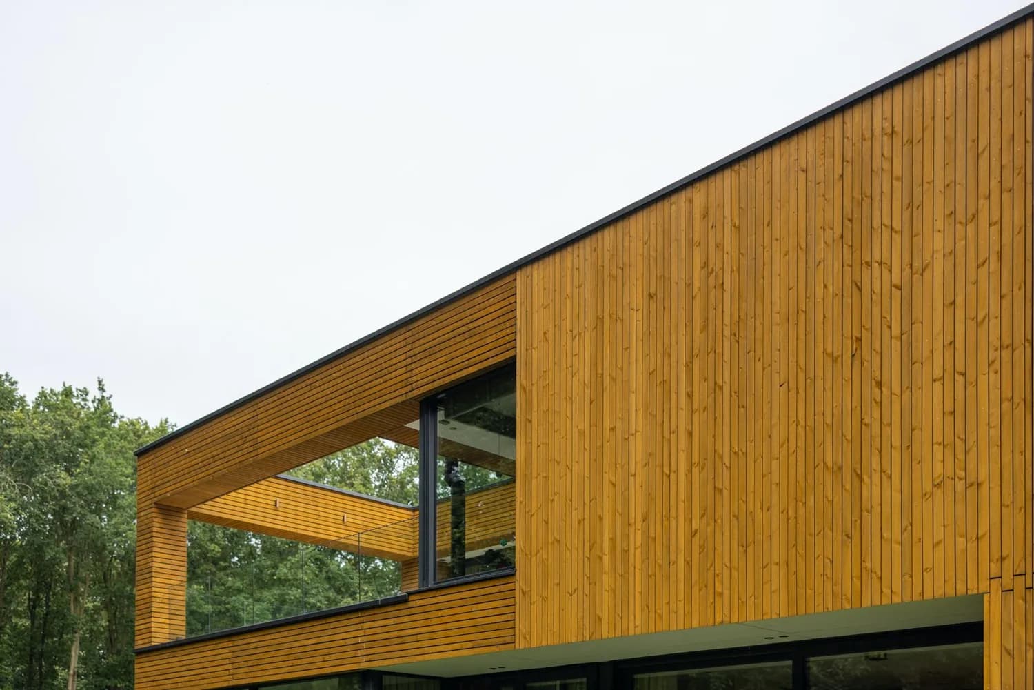 De bosvilla met houten gevelbekleding